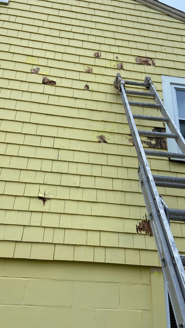 Leo's Painting and carpentry services - Hyannis, MA