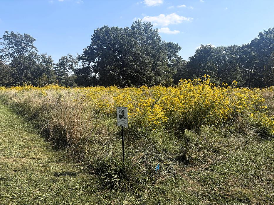 Cincinnati Country Day School - Cincinnati, OH