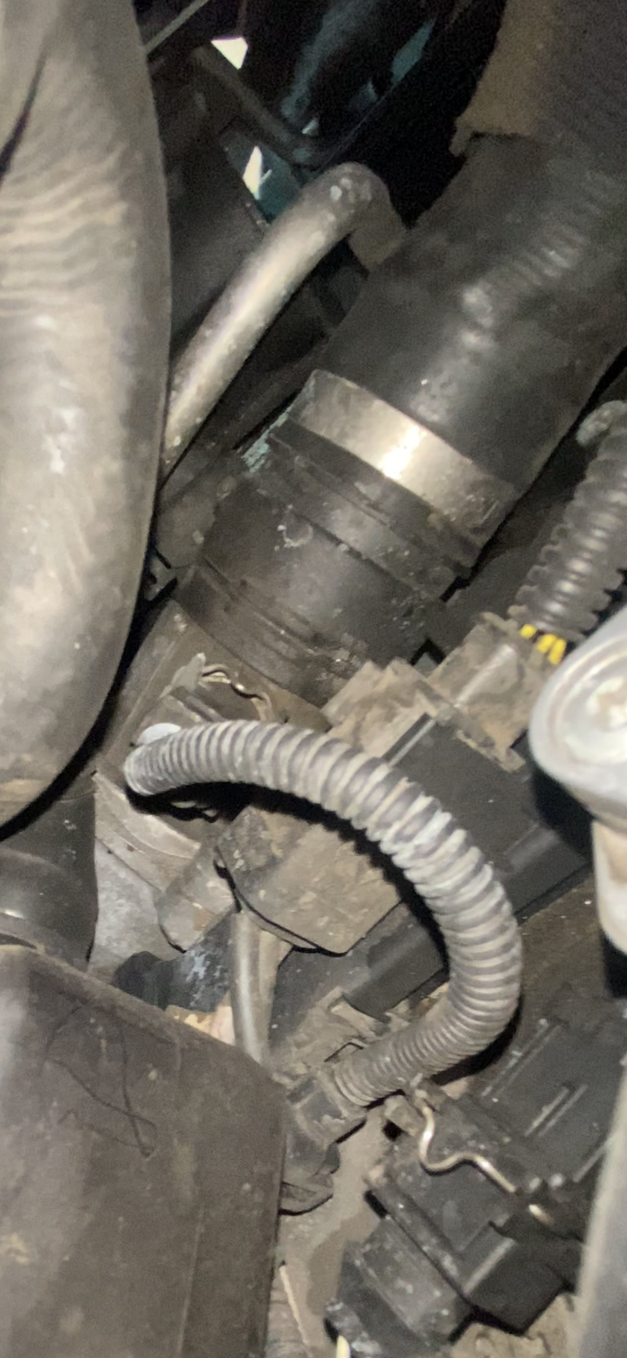 Pina's Auto Repair - Phoenix, AZ