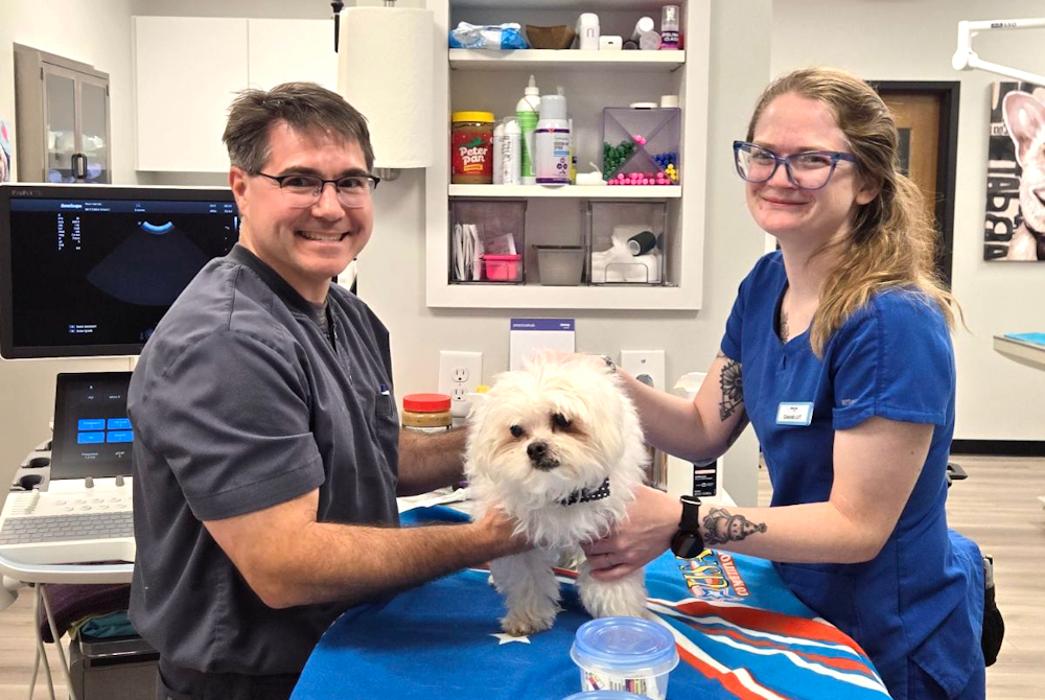 River Oak Vet - Simpsonville, SC