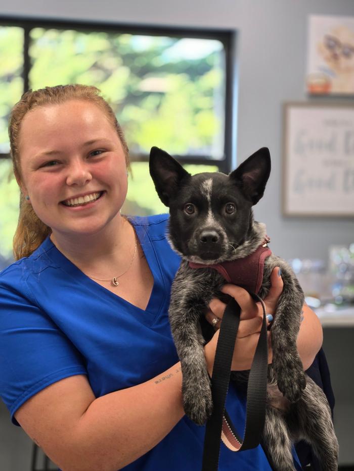 River Oak Vet - Simpsonville, SC