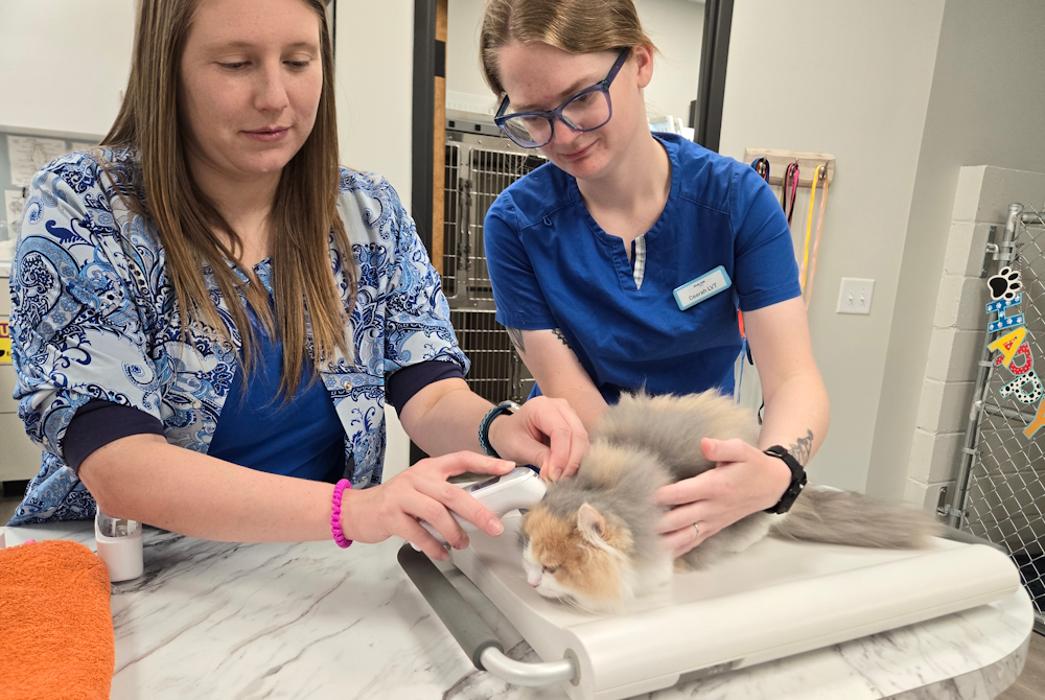 River Oak Vet - Simpsonville, SC