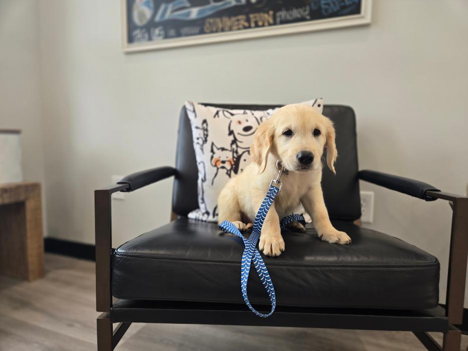 River Oak Vet - Simpsonville, SC