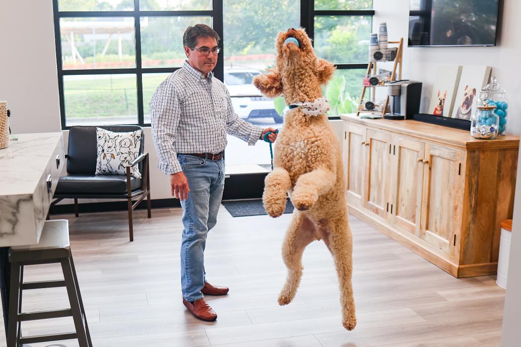 River Oak Vet - Simpsonville, SC