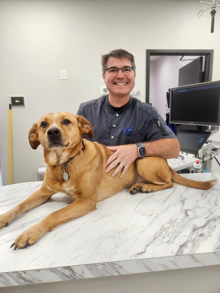 River Oak Vet - Simpsonville, SC