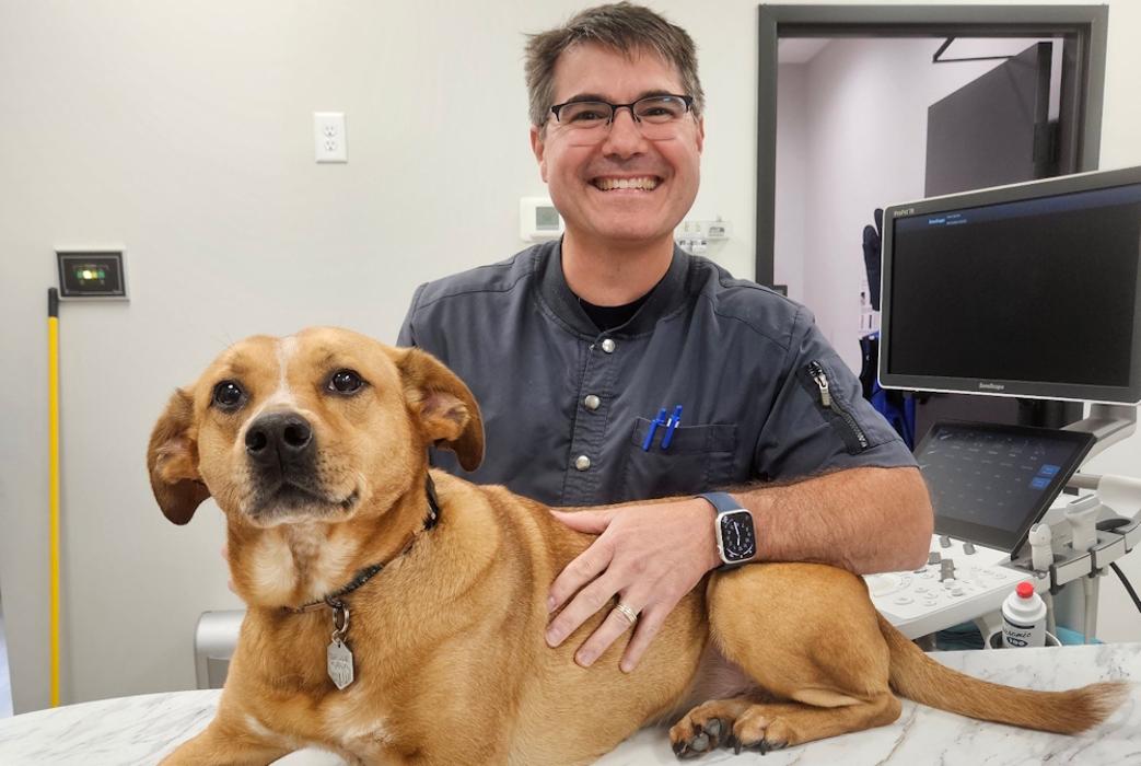 River Oak Vet - Simpsonville, SC