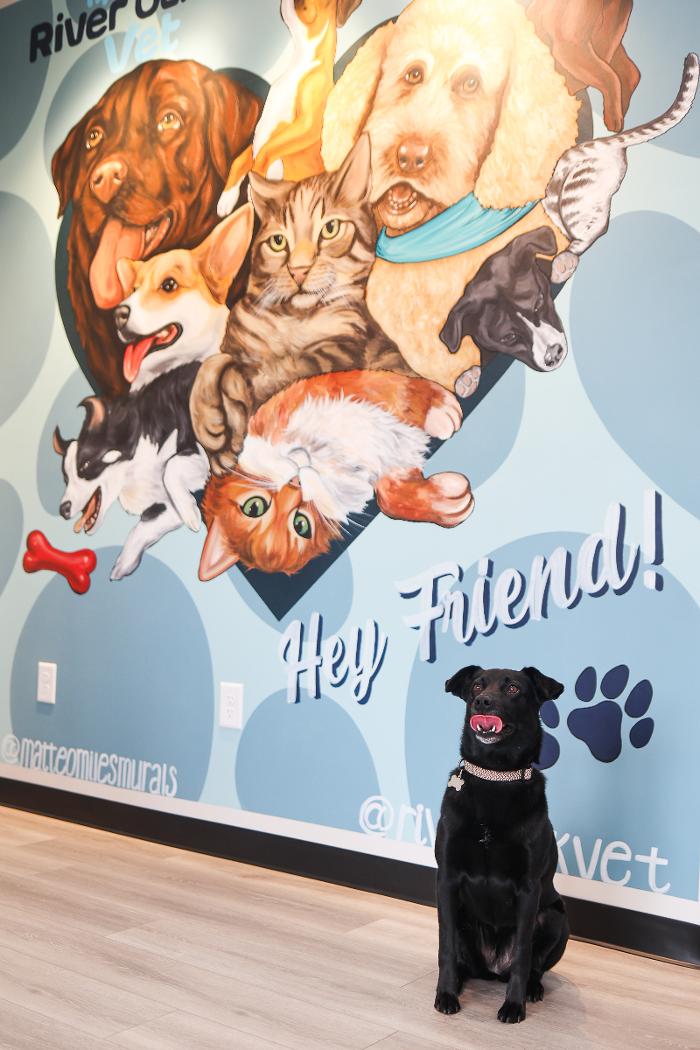 River Oak Vet - Simpsonville, SC