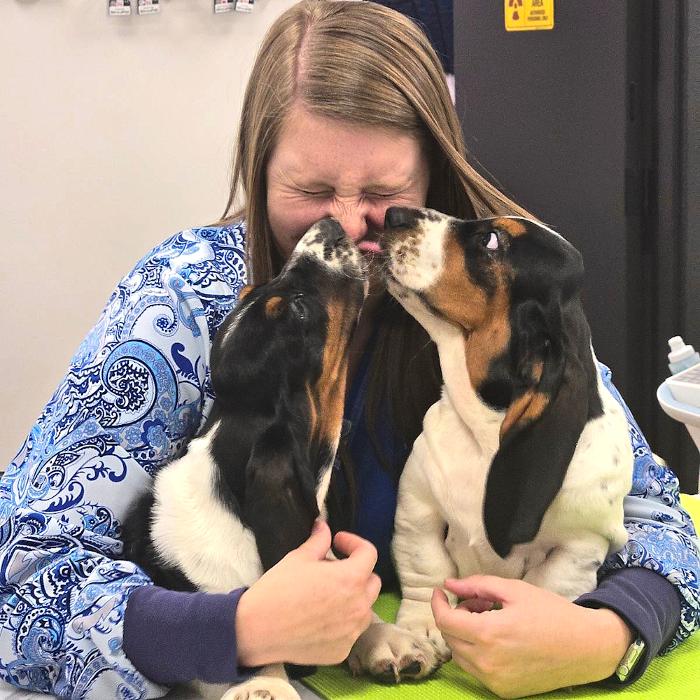 River Oak Vet - Simpsonville, SC