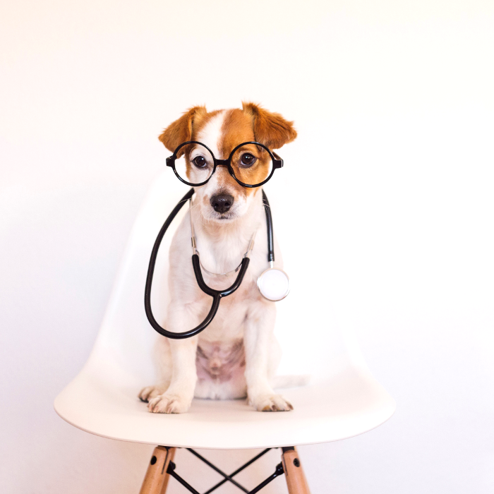 River Oak Vet - Simpsonville, SC