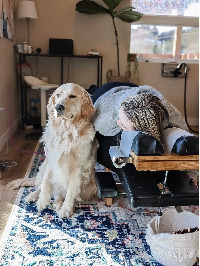 Dr. Maggie, clinic support dog