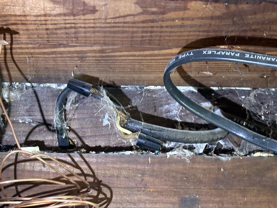 Quantum Inspection Services Inc - Clermont, FL