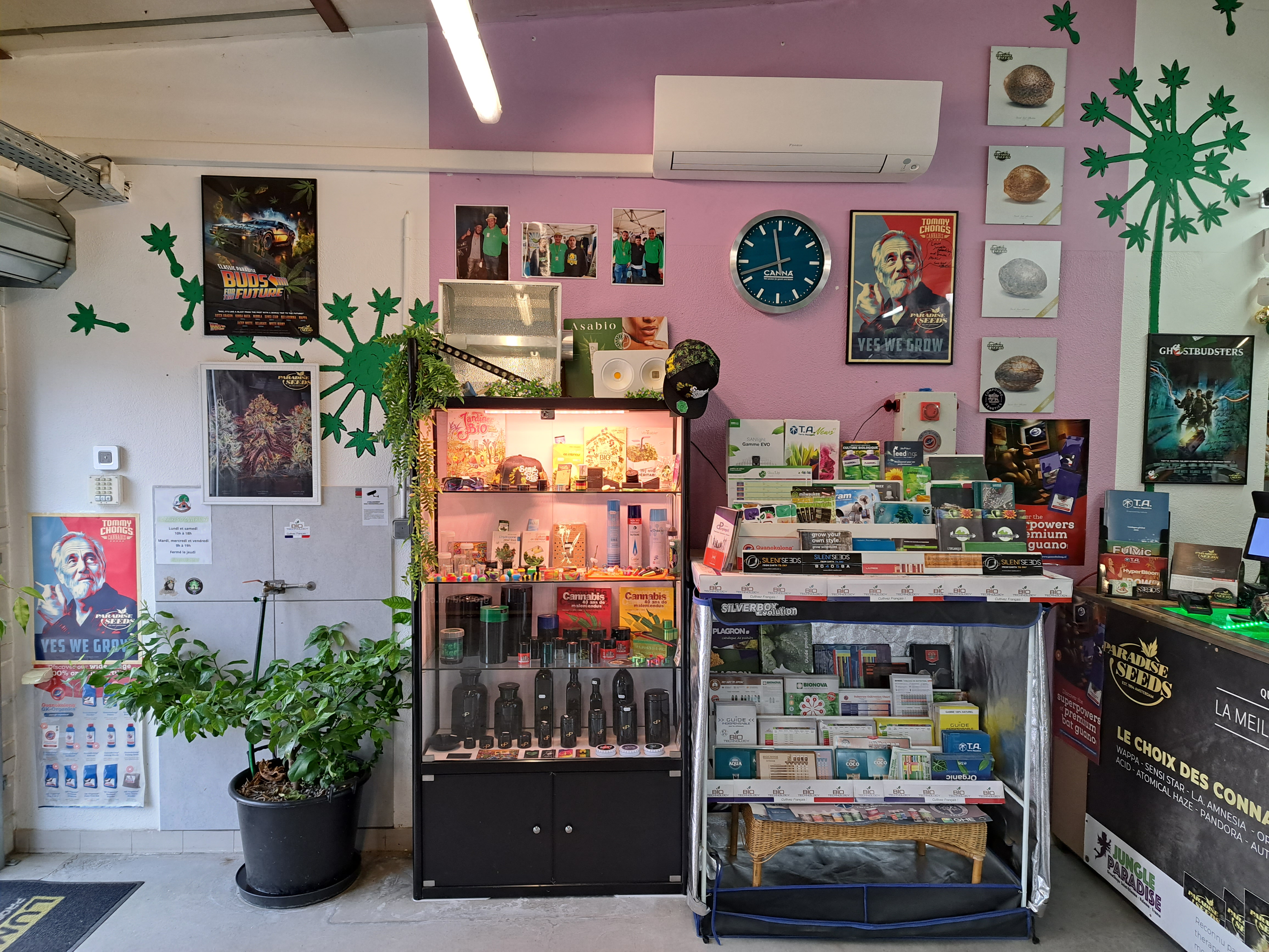 Miniature de la galerie