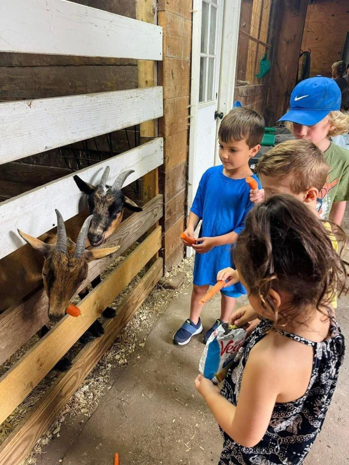 Shadow Hills Farm - Fort Edward, NY