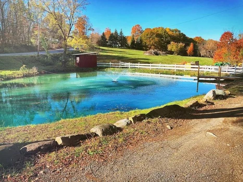 Shadow Hills Farm - Fort Edward, NY