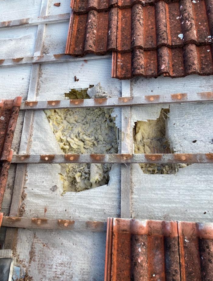 Marder Solution, Otto-Wels-Straße in Nürnberg