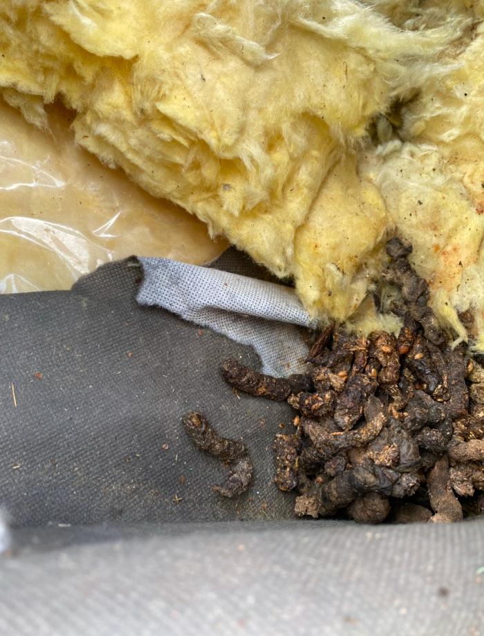 Marder Solution, Otto-Wels-Straße in Nürnberg