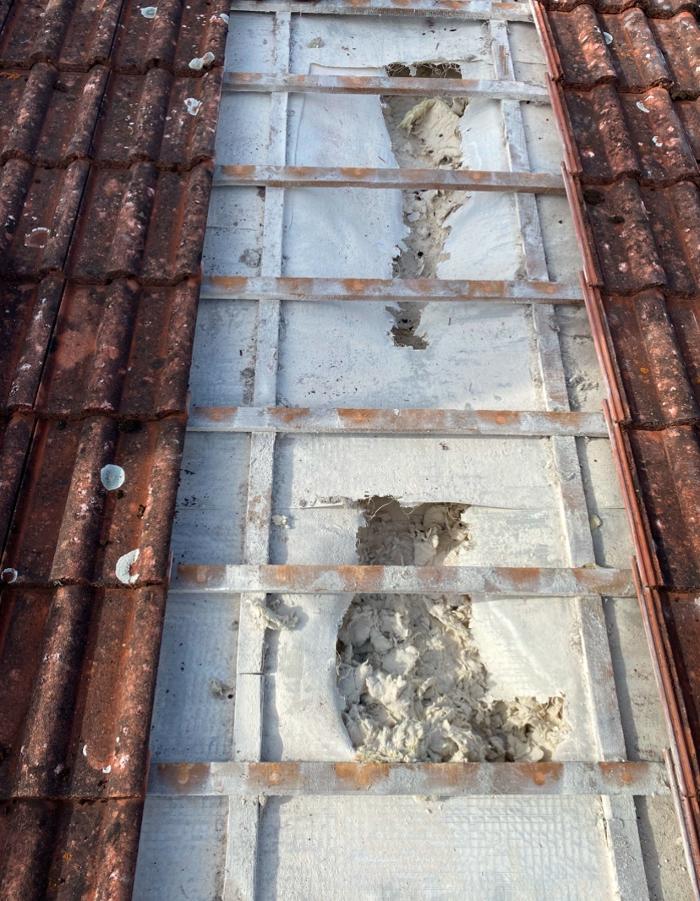 Marder Solution, Otto-Wels-Straße in Nürnberg