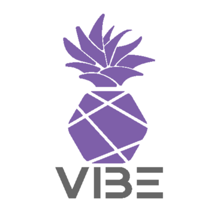 VIBE Event Rentals