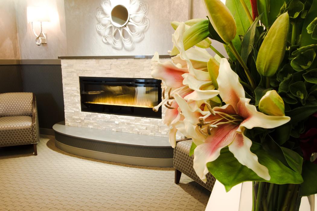 Tranquility Dental Wellness - Olympia, WA