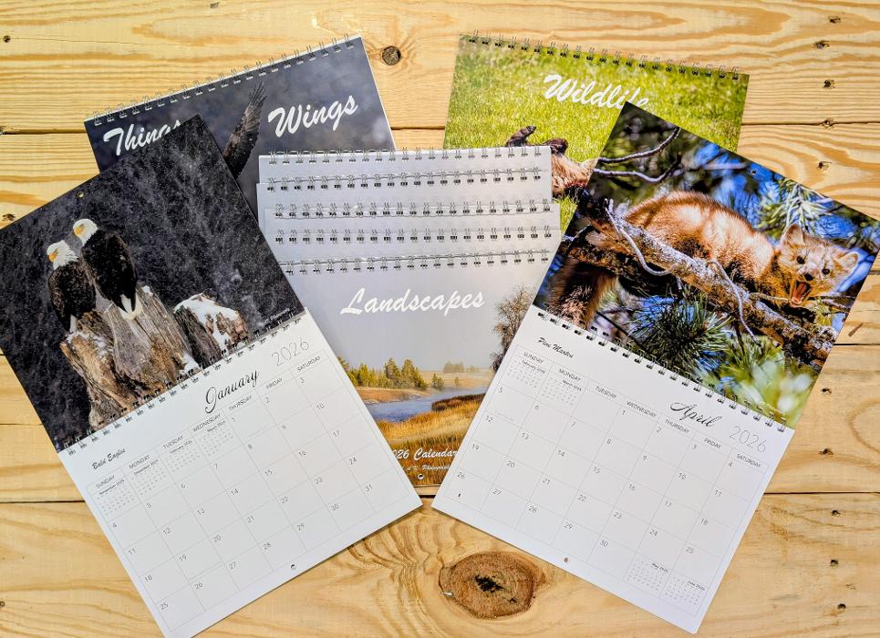 Allegra Marketing Print Mail Image