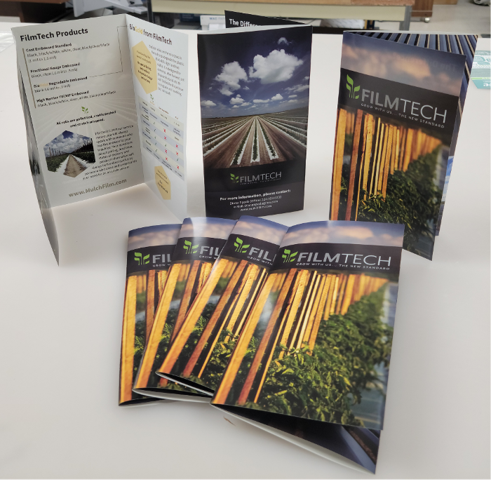 Offset Printed Brochures