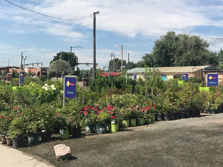 Image360 Westminster CO Image