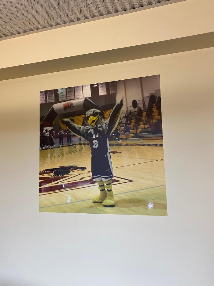 Signs By Tomorrow Salisbury Image