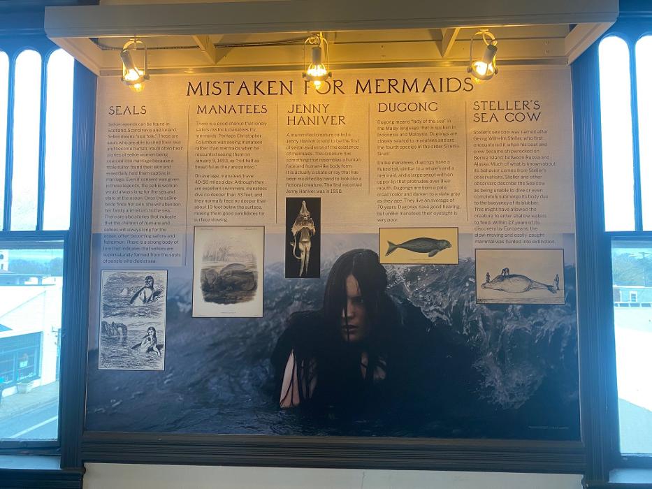 Signs By Tomorrow Salisbury Image