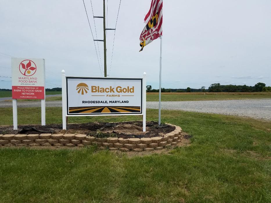 Signs By Tomorrow Salisbury Image