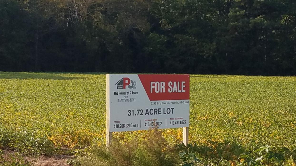 Signs By Tomorrow Salisbury Image