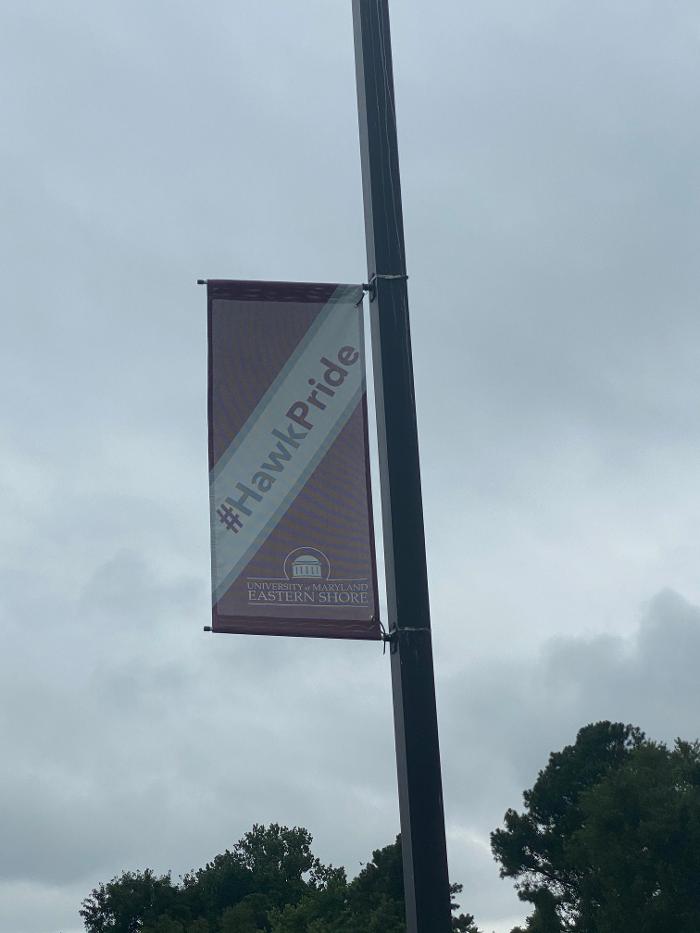 Signs By Tomorrow Salisbury Image