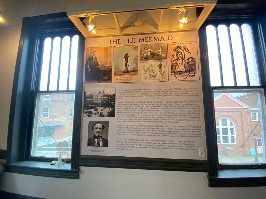 Signs By Tomorrow Salisbury Image