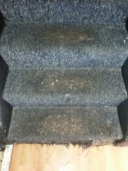 Brenton Carpet Care