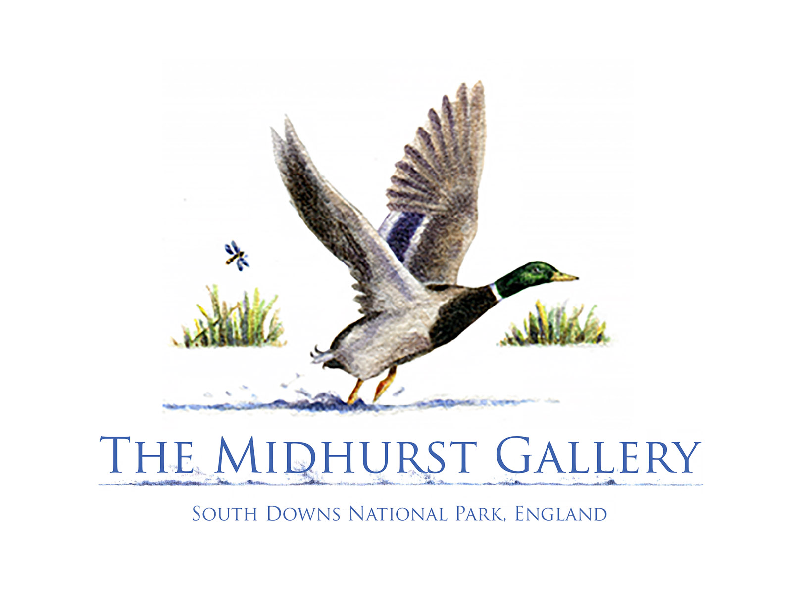 Company Logo