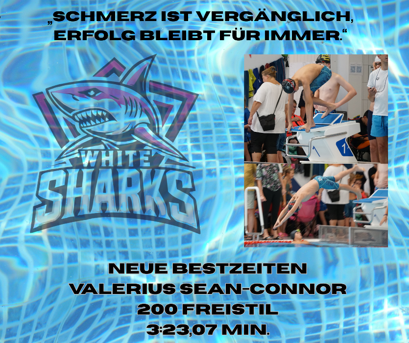 White Sharks e.V., Nikolausufer in Bernkastel-Kues