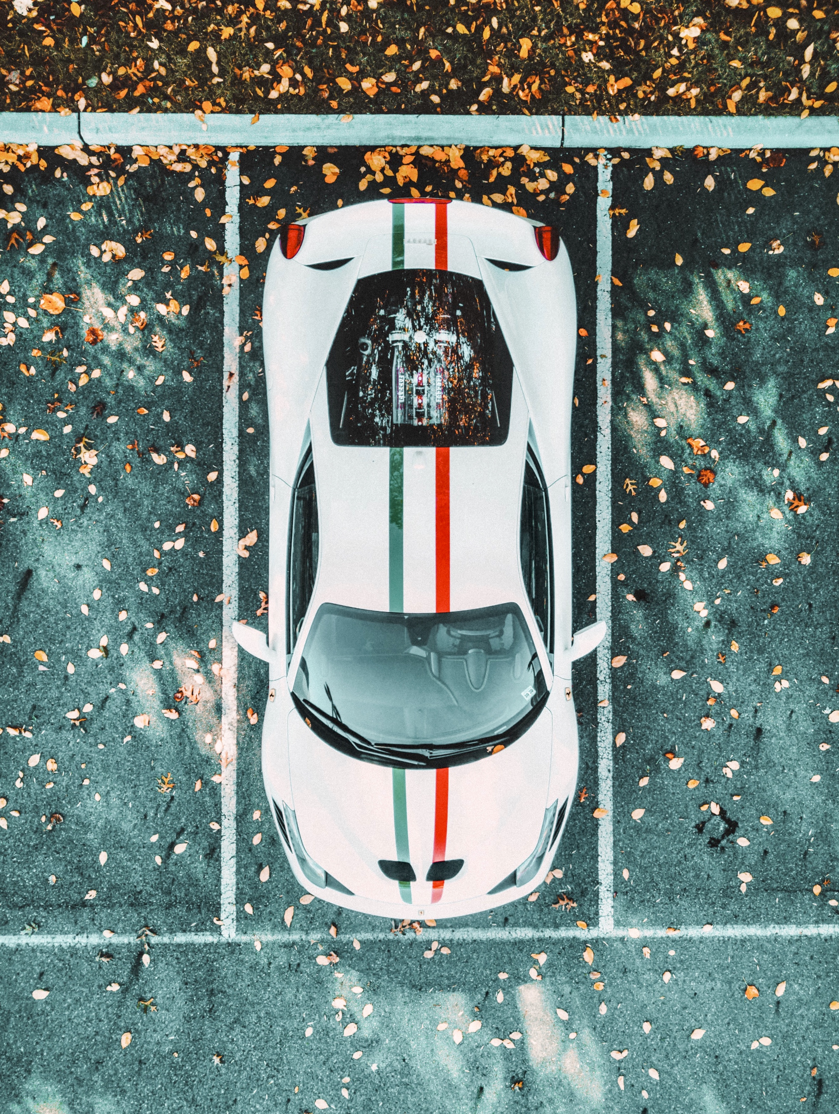 Gallery thumbnail