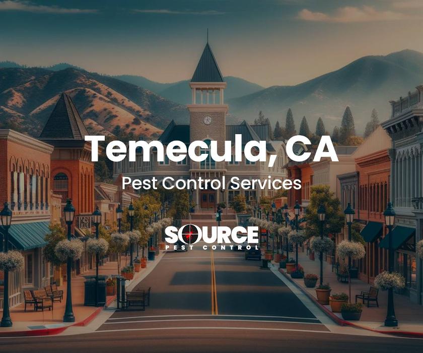 Source Pest Control Image