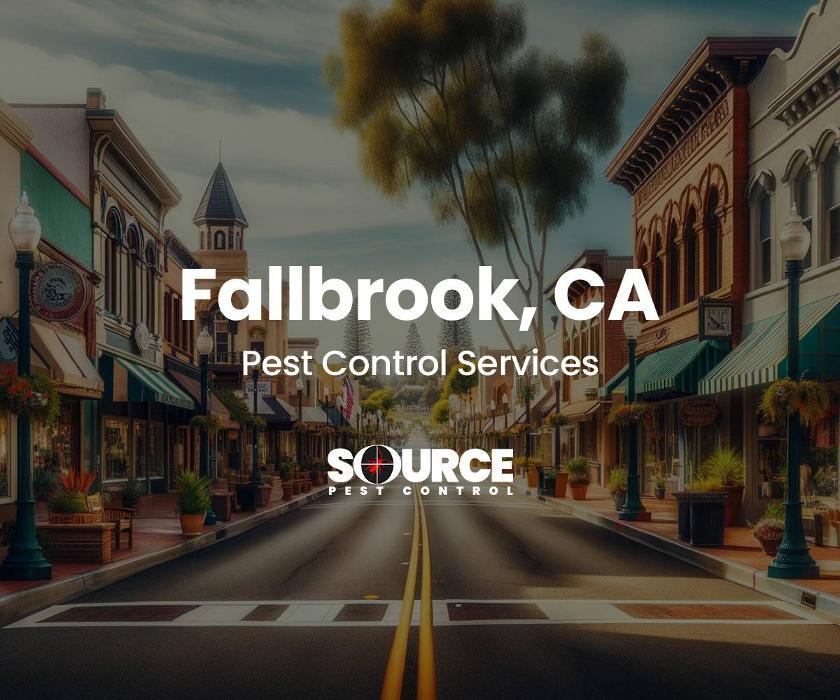 Source Pest Control Image