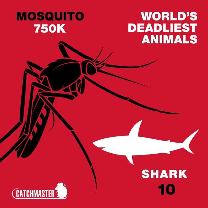 Source Pest Control Image