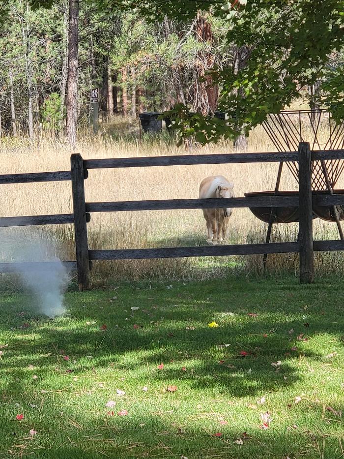 Simmons Sprinkler Service - Lolo, MT