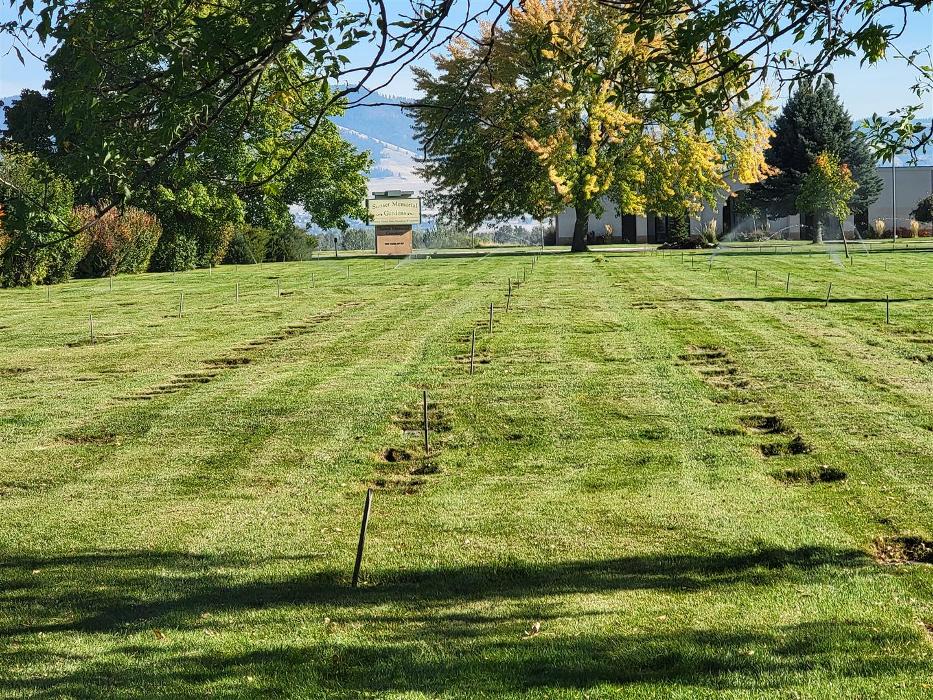 Simmons Sprinkler Service - Lolo, MT