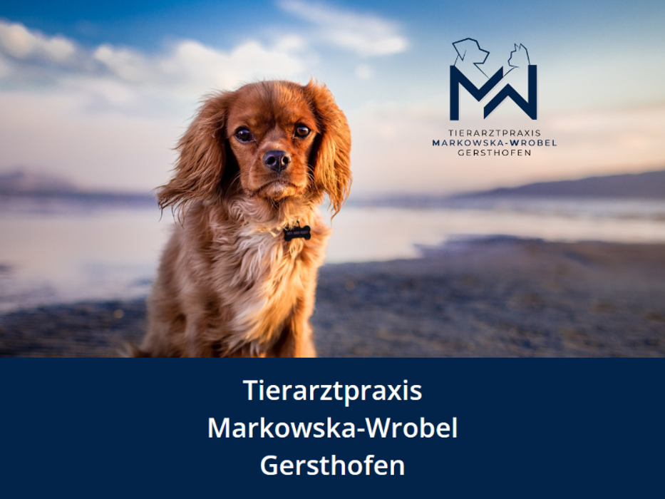 Tierarztpraxis Markowska-Wrobel Gersthofen, Bahnhofstraße in Gersthofen