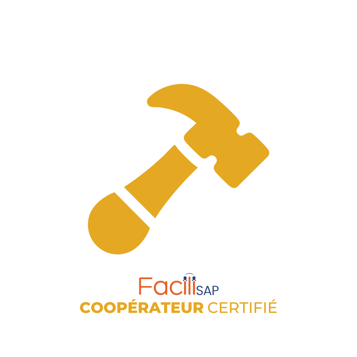 FaciliSAP Bricolage Expert