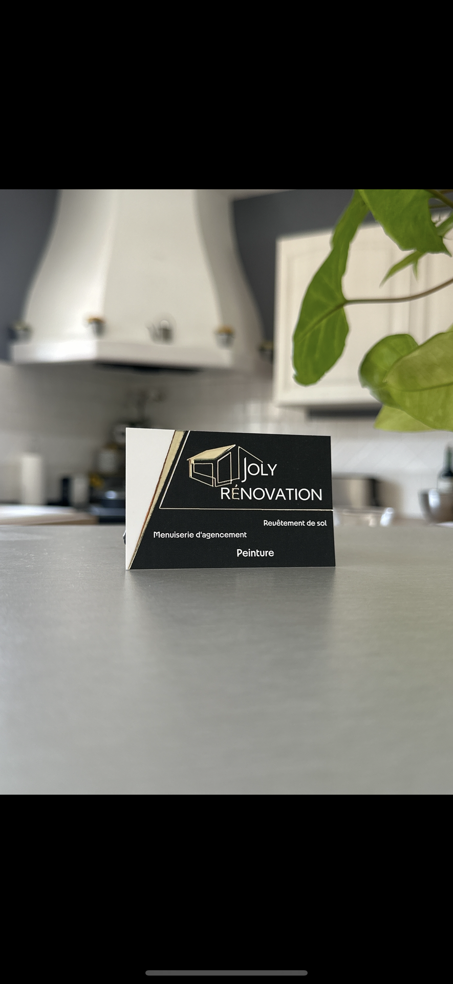 Joly Rénovation peintre (artiste)