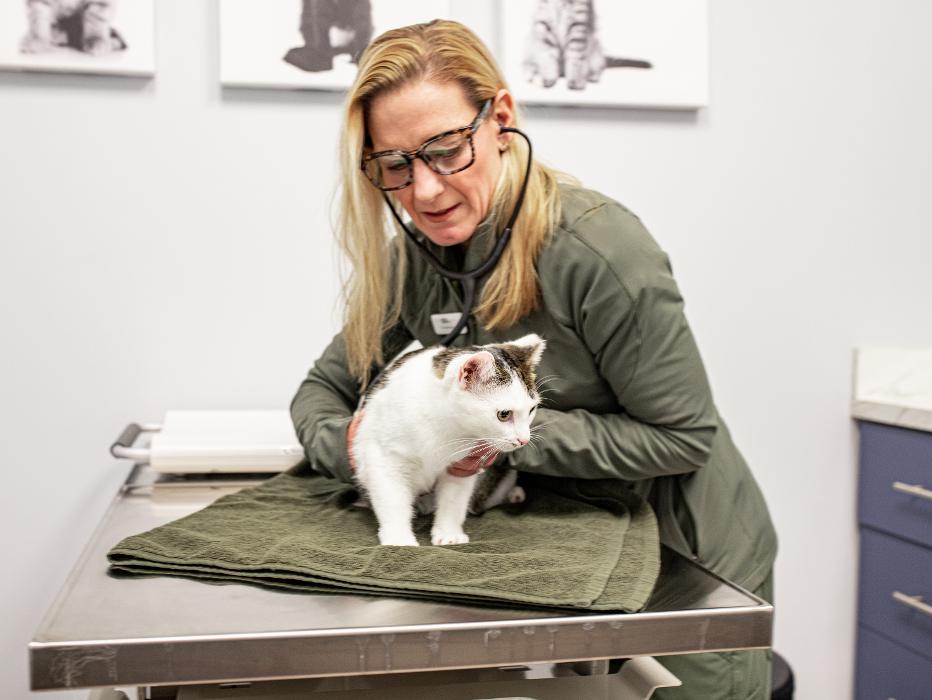 Mauldin Station Vet Image