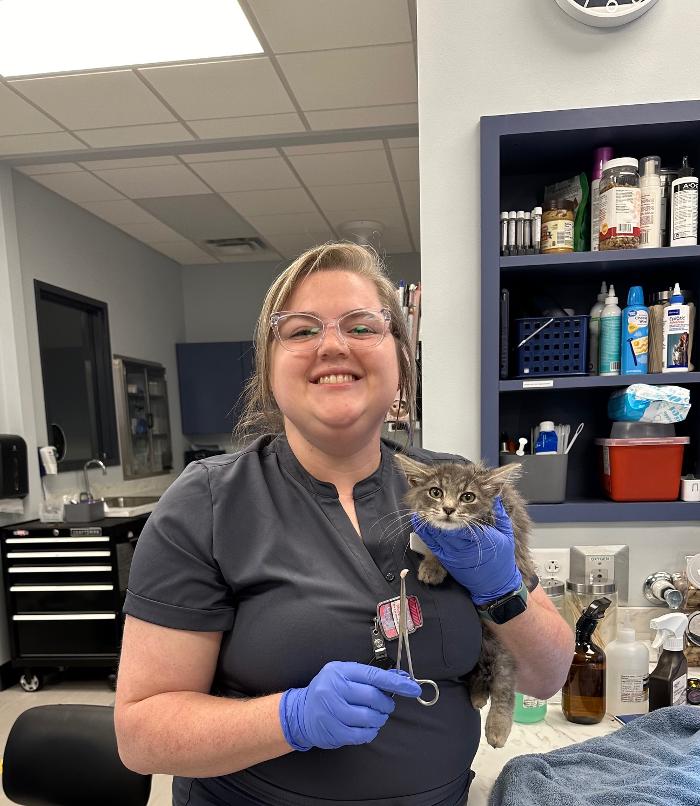 Mauldin Station Vet Image