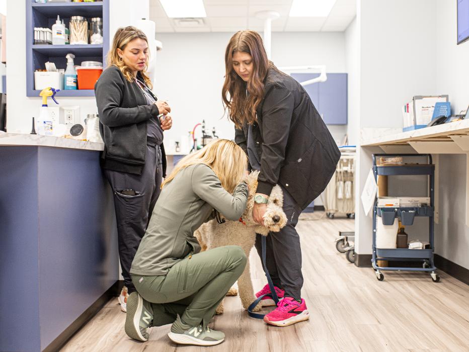 Mauldin Station Vet Image