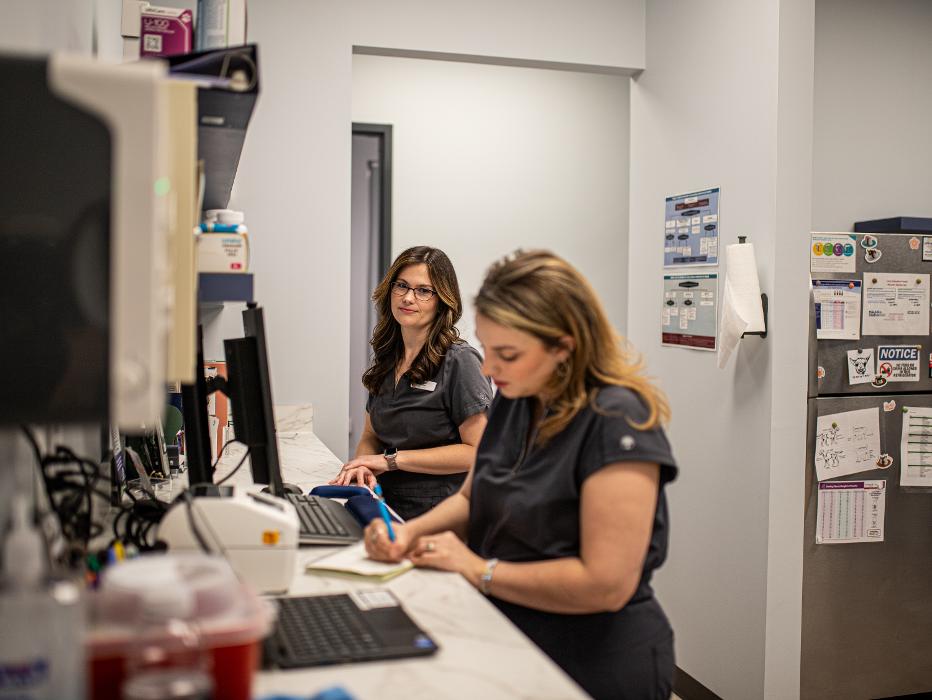 Mauldin Station Vet Image