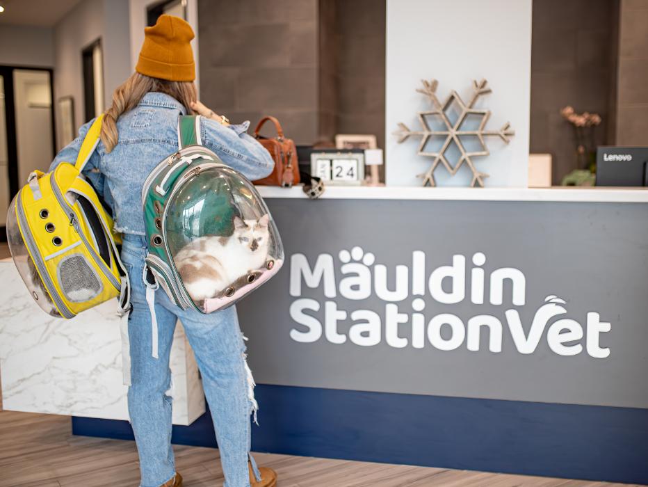 Mauldin Station Vet Image