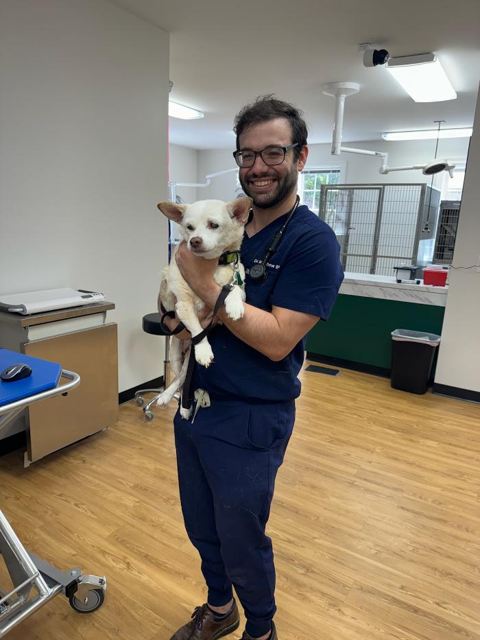 Southern Trails Vet Image